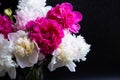 Bouquet of peonies with water drops. Black background Royalty Free Stock Photo