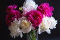 Bouquet of peonies with water drops. Black background. Royalty Free Stock Photo