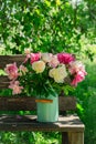 Bouquet of peony flowers in milk can on wooden garden bench Royalty Free Stock Photo