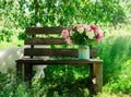 Bouquet of peony flowers in milk can on wooden garden bench, white dog nearby Royalty Free Stock Photo