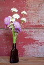 A bouquet of pincushion flowers on red barn board