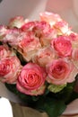 Bouquet of pink-beige rose flowers for celebrations