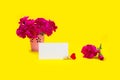 Bouquet Pink carnation flowers with card on yellow backgraund. Royalty Free Stock Photo