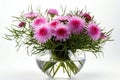 Bouquet of pink chrysanthemums in a glass vase