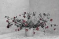 A Bouquet of pink clovers in a flowerpot on a White background