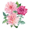 Bouquet of pink dahlia and roses flowers, isolated white background, watercolor botanical illustration Royalty Free Stock Photo