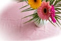 Bouquet of pink daisies in white vase on pink background, colorful flowers view above Royalty Free Stock Photo