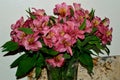 Bouquet of Pink Day Lily Blossoms Royalty Free Stock Photo