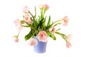 Bouquet pink double tulips