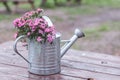 A bouquet of pink flowers in a garden tin watering can stands on a wooden table in the street Royalty Free Stock Photo