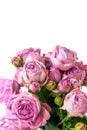 bouquet of pink flowers is isolated on a white background for congratulations on Mother's Day, Valentine's Day