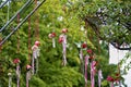 A bouquet of pink flowers in small glass vases hanging in a row on a lamppost in a park. Decorative adornment