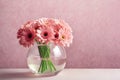 Bouquet of pink gerberas on a pink background. Concept - greeting card or invitations. Element for design.