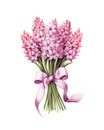 Bouquet of pink hyacinth flowers tied with pink ribbon. Royalty Free Stock Photo