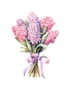 Bouquet of pink hyacinths tied with pink ribbon isolated on white background. Royalty Free Stock Photo