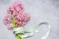 A bouquet of pink hyacinths tied with a salad colored ribbon lies on a gray surface. Woman`s Day or Mother`s Day gift Royalty Free Stock Photo