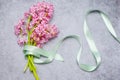 A bouquet of pink hyacinths tied with a salad colored ribbon lies on a gray surface. Woman`s Day or Mother`s Day gift Royalty Free Stock Photo