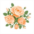 A bouquet of pink ivory roses. Vector decoration, illustration with roses and leaves. For postcards, wedding invitations, textiles