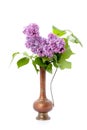 A bouquet of pink lilac in an oriental copper jar on a clean white background. Isolated