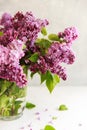 Bouquet of pink lilac in a in a transparent glass vase or can on a light background. Spring concept Royalty Free Stock Photo