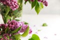 Bouquet of pink lilac in a in a transparent glass vase or can on a light background. Spring concept Royalty Free Stock Photo