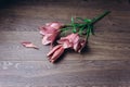 Bouquet of pink lily flowers in the rays of light on a wooden rustic table. fresh buds of a flowering plant close-up, copy space, Royalty Free Stock Photo