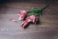 Bouquet of pink lily flowers in the rays of light on a wooden rustic table. fresh buds of a flowering plant close-up, copy space, Royalty Free Stock Photo