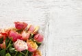 Bouquet of pink and orange roses on white background Royalty Free Stock Photo