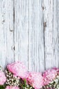 Bouquet of Pink Peonies and Babys Breath Flowers over a White Rustic Wooden Background Royalty Free Stock Photo