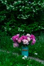 Bouquet of pink peonies in milk can standing on a garden path Royalty Free Stock Photo