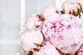 Bouquet of pink peonies