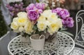 Bouquet of pink peonies in vase on table Royalty Free Stock Photo