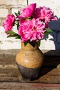 Bouquet of pink peony flowers in clay jug on rustic wooden table Royalty Free Stock Photo