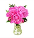 Bouquet of pink peony flowers in glass vase Royalty Free Stock Photo