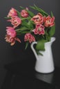 A bouquet of pink peony tulips in a white jug. Royalty Free Stock Photo