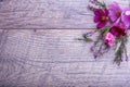 A bouquet of pink and purple flowers cosmea or cosmos with ribbon on rustic wooden boards. Copy space. Mother`s