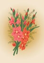 Bouquet of pink and red gladioluses