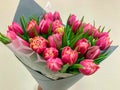 A bouquet of pink red white double peony tulips in a gray modern packaging on a white background. Happy mothers day. International Royalty Free Stock Photo