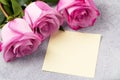 Bouquet of pink roses and a blank note on the table Royalty Free Stock Photo