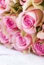 Bouquet of pink roses with blue ribbon for present on a vintage wooden background, copy space Royalty Free Stock Photo