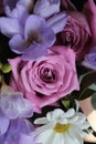 A bouquet of pink roses, chamomile and blue freesias.