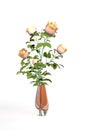 Bouquet of pink roses in a glass blue round vase Royalty Free Stock Photo