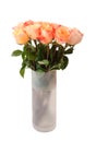 Bouquet of pink roses in glass vase isolated on white Royalty Free Stock Photo