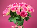 Bouquet of pink roses in a glass vase on a pink background. On a vase the red tape is tied.  water drop on roses Royalty Free Stock Photo