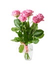 Bouquet of pink roses isolated Royalty Free Stock Photo