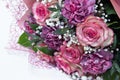 Bouquet with pink roses isolated on white. Beautiful fresh flowers Royalty Free Stock Photo