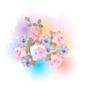 Bouquet of pink roses and light blue pansies against rainbow watercolor spots. Beautiful card, print for T shirt, design element