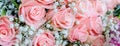 Bouquet of pink roses with small briliants Royalty Free Stock Photo