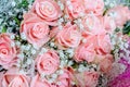 Bouquet of pink roses with small briliants Royalty Free Stock Photo