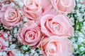 Bouquet of pink roses with small briliants Royalty Free Stock Photo